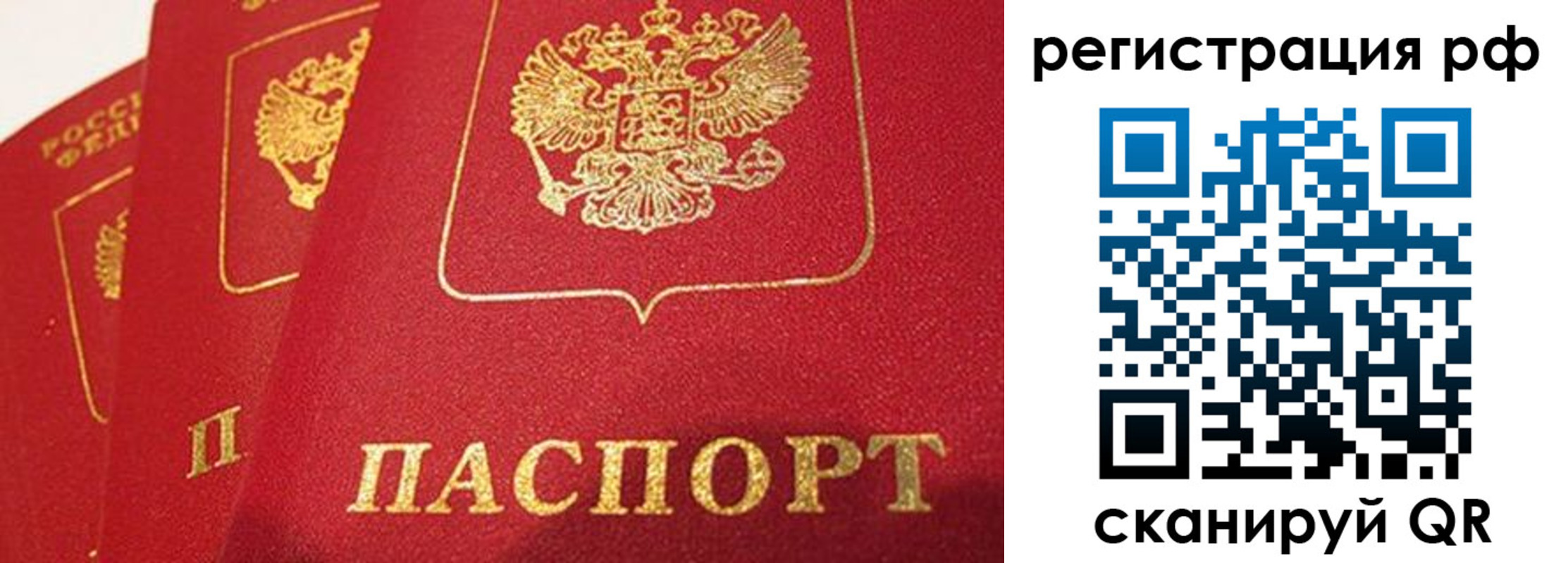 прописка поиск в Трубчевске